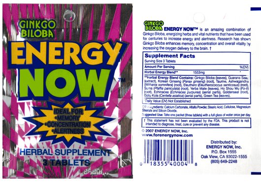 Energy Now Ginkgo Biloba — Herbal Weight / Energy Supplement | Full Box (24 Packs × 3 Tablets)